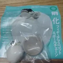 卵化 フィギュアマスコット ニシヘルマンリクガメ