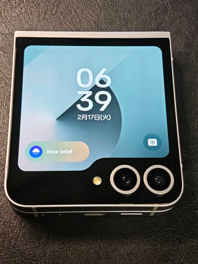 Galaxy Z Flip6 256GB シルバーシャドウ