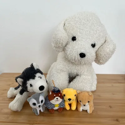 ぬいぐるみ 犬 わんちゃん 6個セット