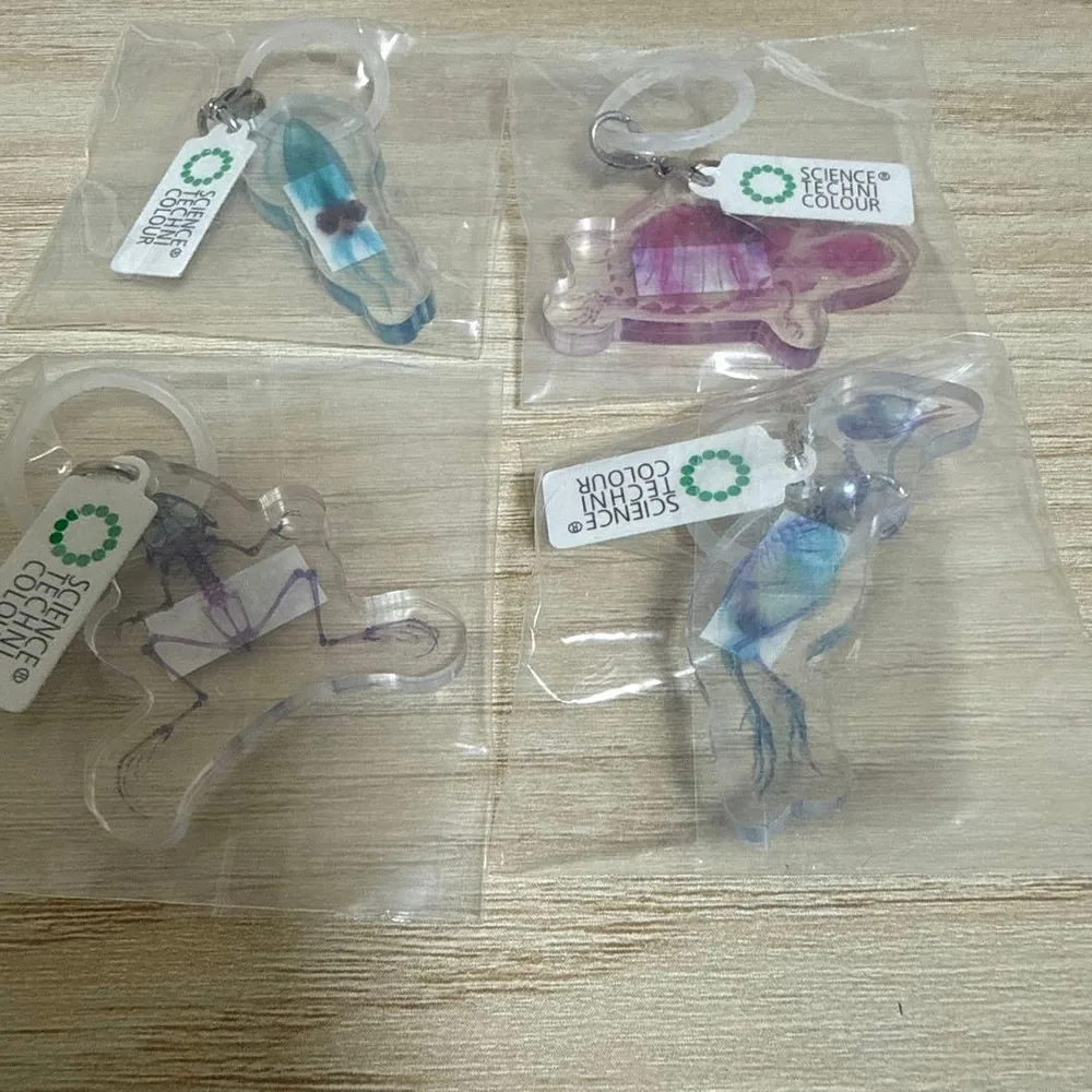 透明標本 めじるしアクセサリー