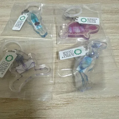 透明標本 めじるしアクセサリー