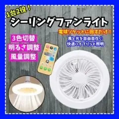 シーリングファンライト