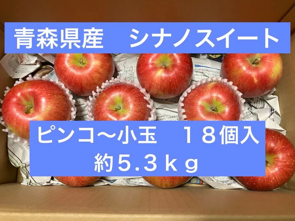 青森県産りんご シナノスイート 約5.3kg【12】