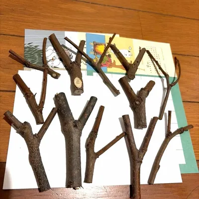 柿の木 分かれ枝 11本セット ハンドメイド 工作 トナカイの角風