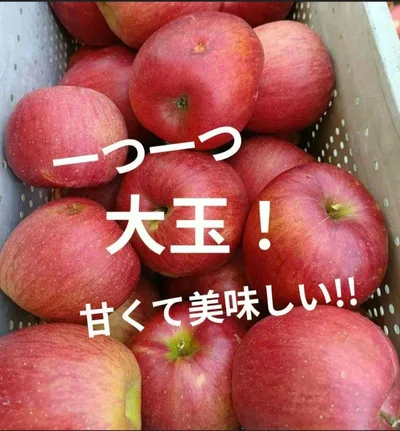 【大特価】✨️信州農家✨️シナノスイート✨️家庭用10キロ以上!