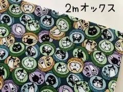 2m 猫 ネコ 王冠 オックス 生地 グリーン @1D