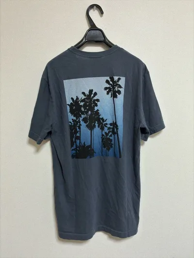 JAMESPERSEジェームスパースバックプリントTシャツヨセミテ