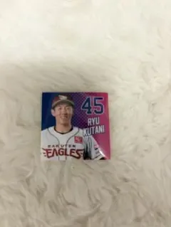 楽天イーグルス 九谷瑠