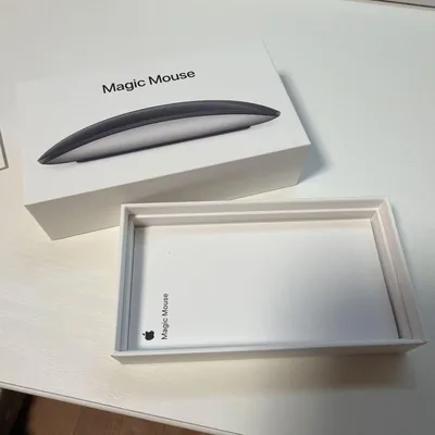 Apple Magic Mouse 空箱 説明書 純正 箱のみ 本体なし