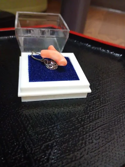 天然珊瑚 ピンブローチ 枝珊瑚