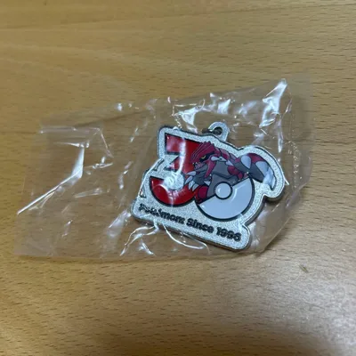 ポケモン 30周年 メタルチャーム グラードン