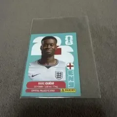 สติ๊กเกอร์ Panini FIFA World Cup 2026 Guay