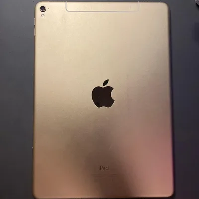 Apple iPad Pro 9.7インチ 本体
