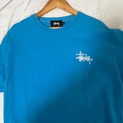 Stussy ステューシー Tシャツ ブルー