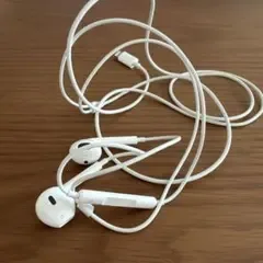 【未使用】iPhone 有線イヤホン Lightning