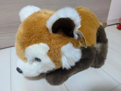 【最安値】東山動植物園 シセンレッサーパンダ ぬいぐるみ