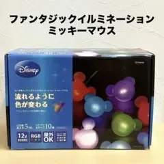 ローボルト ファンタジック イルミネーション ミッキーマウス TD-DC02L