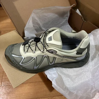 SALOMON XT-WHISPER GTX スニーカー