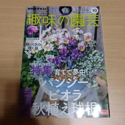 NHKテキスト 趣味の園芸 2022年10月号 特集 パンジー ビオラ秋植え球根