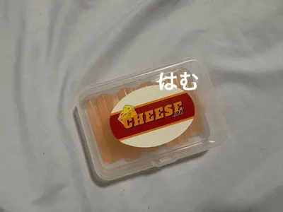 BANHADAチーズロッド 新品 韓国