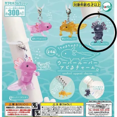 ウーパールーパー アピるチャーム ガチャ たっち!(ブラック)