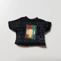 1/12 azone アゾン グラフィック Tシャツ ブラック × レインボー