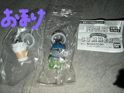 PEANUTS めしるしアクセサリー SUMMER