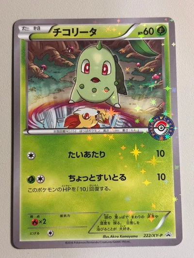 チコリータ P XY BREAK スペシャルセット プロモ