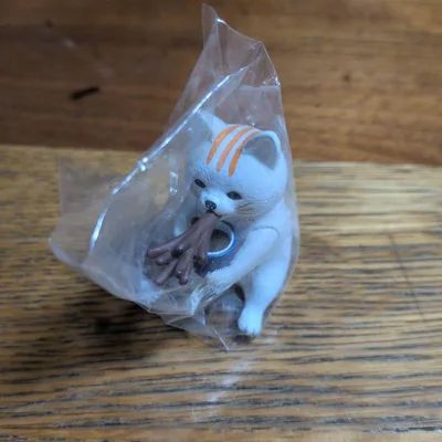 ネコ舌 シマ