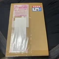 【未開封】30th CELEBRATION FUTURISTIC BOX