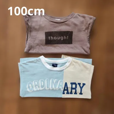 Long sleeve T-shirt 100cm 2-piece set
