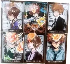家庭教師ヒットマンREBORN リボーン 特典 ボドゲ 沢田綱吉 ツナ