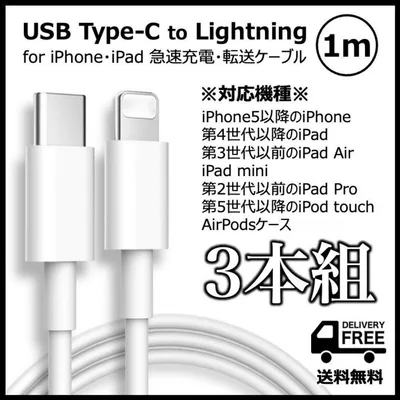 iPhone用*USB-C(Type-C)- Lightning ケーブル