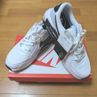 NIKE AIR MAX EXCEE FN7304-100