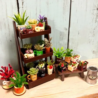 ミニチュア観葉植物 ミニチュアラック セット売り ドールハウス