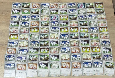 イッカネズミ ワッカネズミ 100枚まとめ売り 1