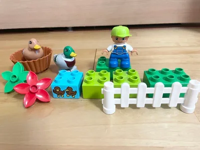 レゴデュプロ LEGO Duplo カモのかぞく