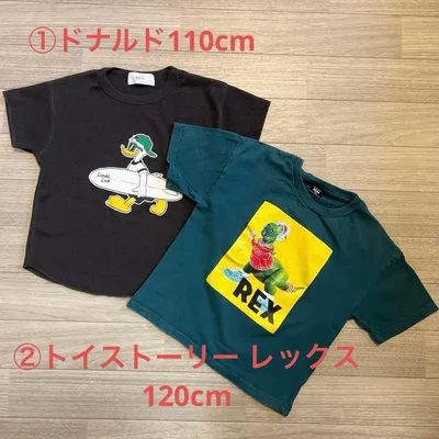 Tシャツ2枚セット 110cm ドナルド 、120cmトイストーリー レックス