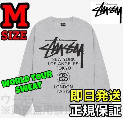 STUSSY トレーナー ワールドツアー スウェット グレー M