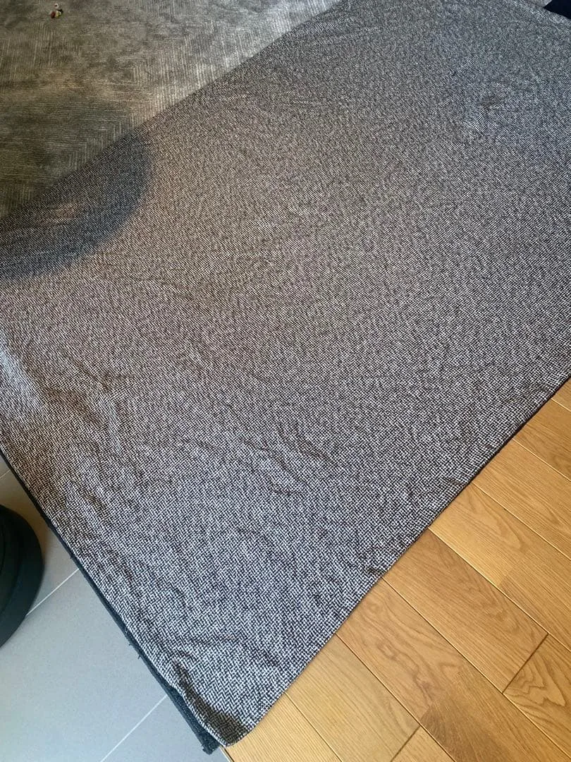 IKEA 平織ラグ 155×220 TIPHEDE