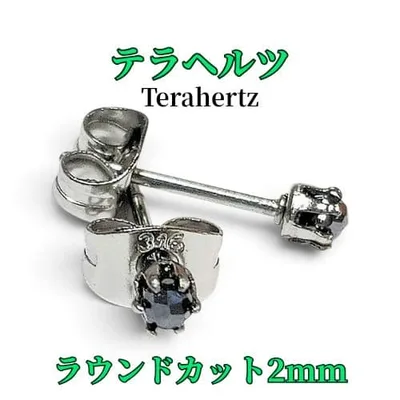 テラヘルツ ラウンドカット 2mm 316L シルバー ピアス
