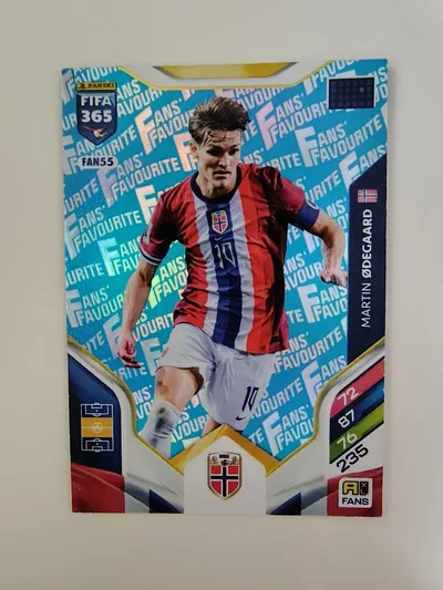 ★美品★ Panini FIFA 365 ウーデゴール カード