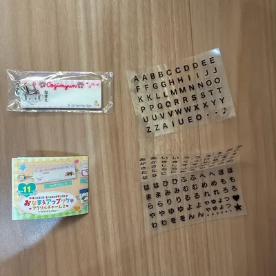 サンリオ おなまえアップリケ風 アクリルチャーム2 こぎみゅん