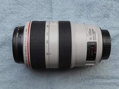 Canon EF 70-300mm f/4-5.6L IS USM