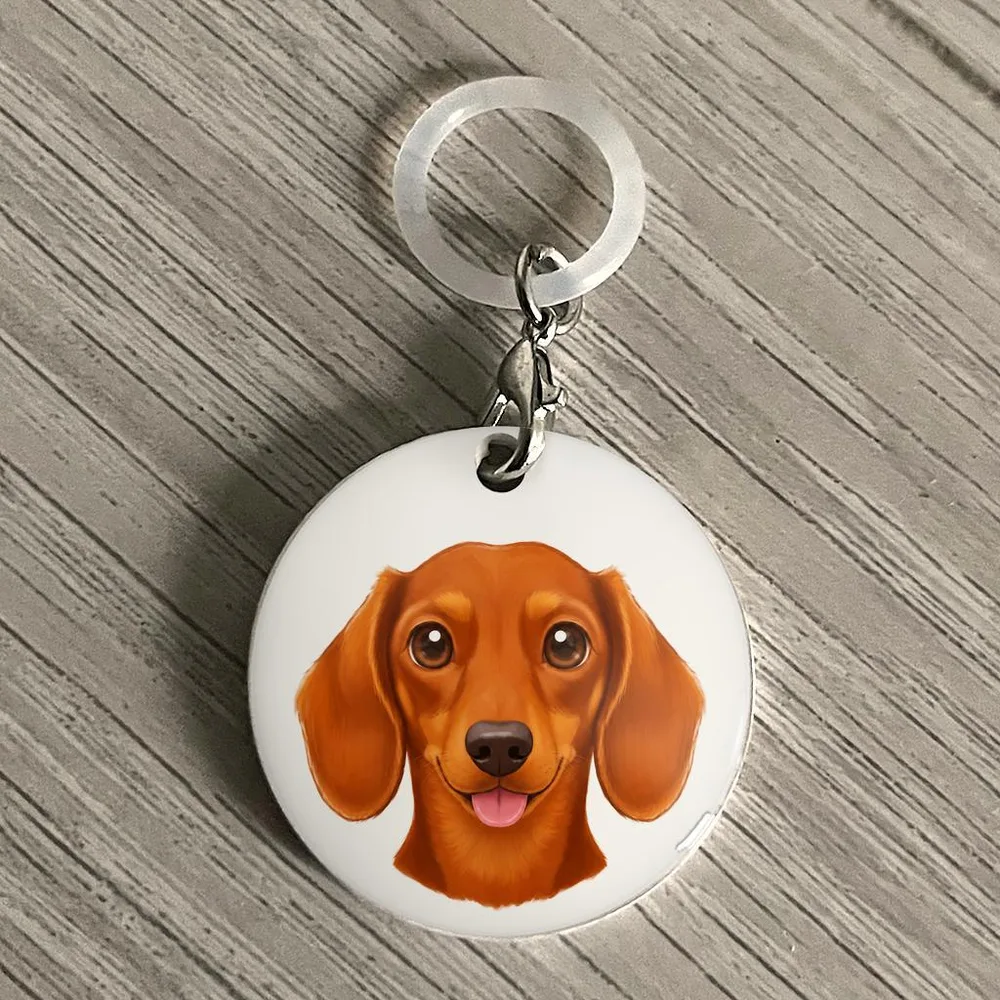 ミニチュアダックス レッド ペットボトルマーカー 犬チャーム ハンドメイド