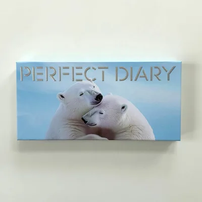 PERFECT DIARY アイシャドウ 23 ベアハグ