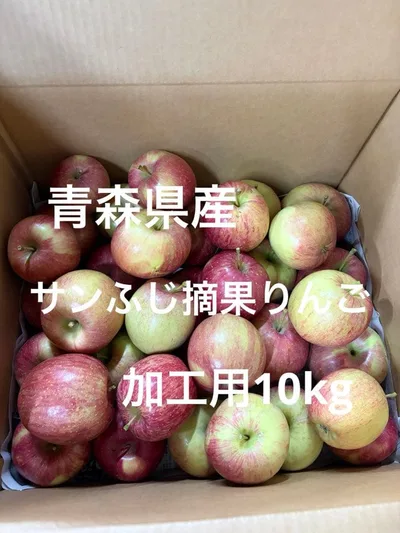 青森県産 サンふじ 摘果りんご 加工用10kg