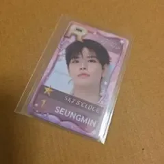 スキズ ペンミ シュスジェ リアルカードトレカ スンミン