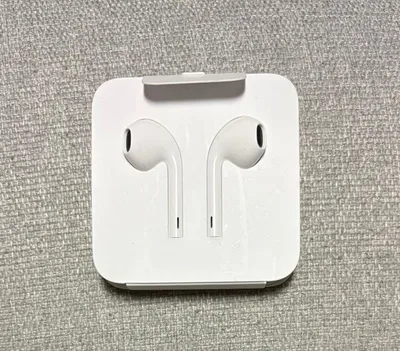 Apple 有線イヤホン ライトニング