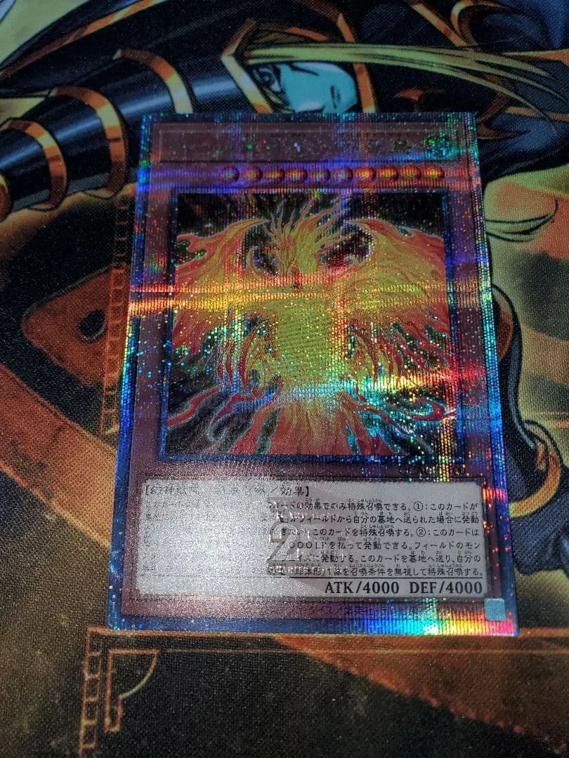 遊戯王 ラーの翼神竜 不死鳥 25th
